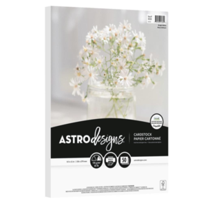 Neenah Astrodesigns 65lb Cardstock Pack 8.5"X11" 50/Pkg - Bright White