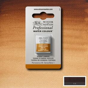BURNT UMBER 076 S1