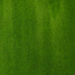 SAP GREEN PERMANENT