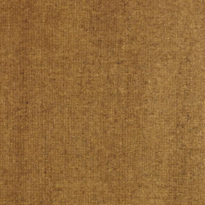 TRANSPARENT RAW UMBER