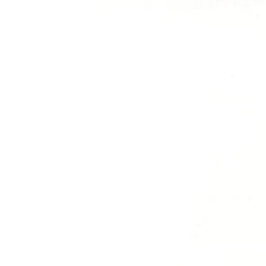 TITANIUM WHITE