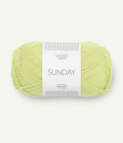 9523 Lime Punch