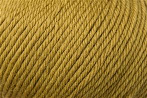 220 Autumn Gold