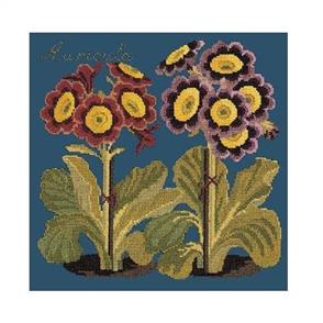 Elizabeth Bradley Tapestry Kit - Auricula (Dark Blue Background)