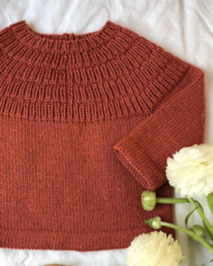 Petite Knit Anker's Shirt - Knitting Pattern / Kit