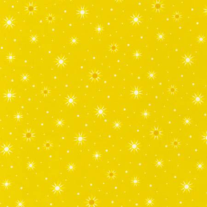 Robert Kaufman Planetarium - Stars - Sunshine