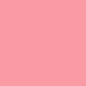 Free Spirit Tula Pink Solids  Solids - Taffy