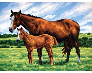 Collection D'Art  Tapestry Canvas 40X50 Horse & Foal