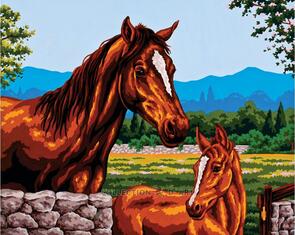 Collection D'Art  Tapestry Canvas 50X60 Mare & Pony