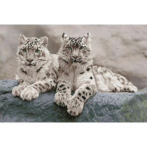 Diamond Dotz Snow Leopards