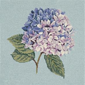 Elizabeth Bradley  Tapestry Kit - Hydrangea (Duck Egg Blue Background Wool)