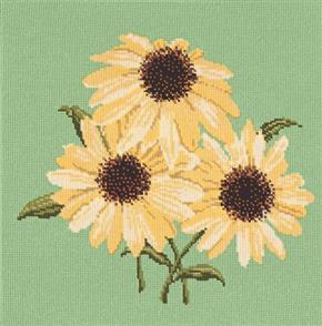 Elizabeth Bradley Tapestry Kit - Echinaceas (Grass Green Background Wool)