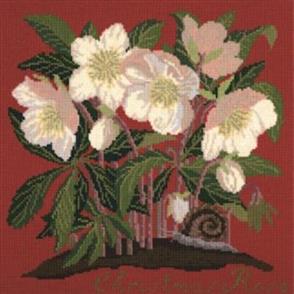 Elizabeth Bradley  Tapestry Kit - Christmas Rose (Bright Red Background Wool)