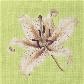 Elizabeth Bradley Tapestry Kit - Oriental Lily (Pale Lime Background Wool)