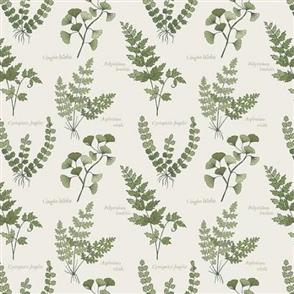 Lewis & Irene Lewis and Irene - The Botanist - Ferns and Leaves Cream