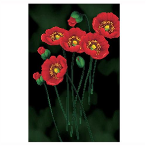 Needle Art World  No Count Cross Stitch Kit - Red Poppies on Black