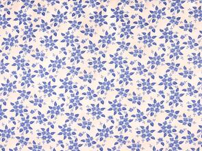 Maywood  A Quilter'S Garden Qug White Blue Forget-Me-Nots