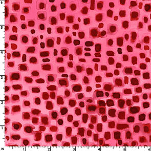 Maywood Wild By Nature /Kathy Deggendorfer Wbn Pink Red Seeing Spots