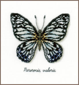 Vervaco  Cross Stitch Kit - LMV Blue butterfly
