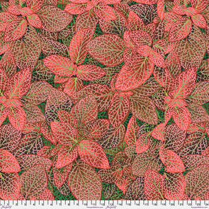 Free Spirit Kaffe Fassett - Fittonia - Red || August 2024