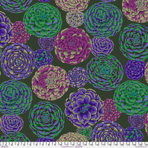 Free Spirit Kaffe Fassett - Japonica - Dark || August 2024