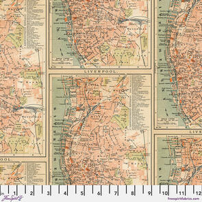 Free Spirit Orange - Map || Tim Holtz Palette Orange