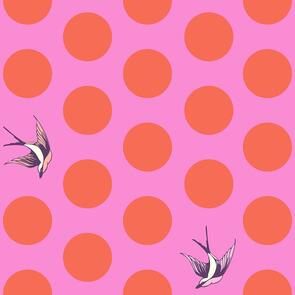 Free Spirit Tula Pink Free Fall - Honey - Free Fall 108" Wideback