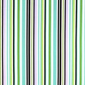 RJR  Crazy For Dots & Stripes Crazy For Dots & Stripes R8173/012