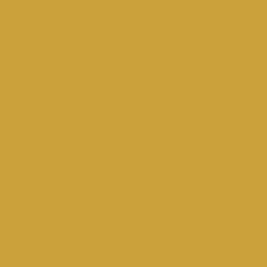 RJR Cotton Supreme Solids Golden Topaz R9617/285