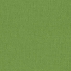 RJR Cotton Supreme Solids Think Green R9617/375
