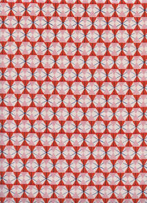 Cotton & Steel Welsummer /Kim Kight Chicken Wire - Poppy