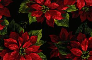 Michael Miller  Best Of | Holiday | Christmas Scarlet Poinsettia - Black
