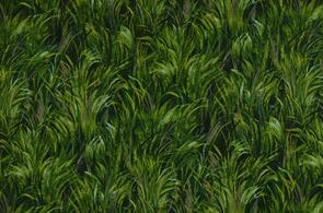 Michael Miller Landscape | Christmas Green Meadow Grass