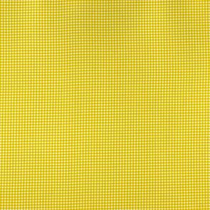 Michael Miller Tiny Gingham Citron