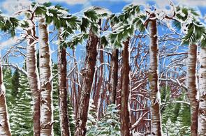 Michael Miller Winter Snow - Snow Lake 24" Panel