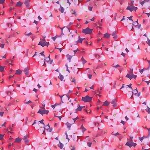 Michael Miller  Flower Fairies Whisper Flowers - Pink