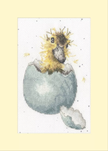 Bothy Threads Greeting Card Cross Stitch Kit - Peek-a-boo