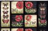 Wilmington MM Fabs Susan Winget Harlequin Poppies 3023-39627-913