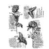 Stampers Anonymous Tim Holtz Cling Stamps 7" x 8.5" - Botanic Elements