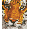 Diamond Dotz  Bengal Magic
