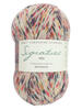 West Yorkshire Spinners Signature 4ply 100g Sock Yarn - Butterflies