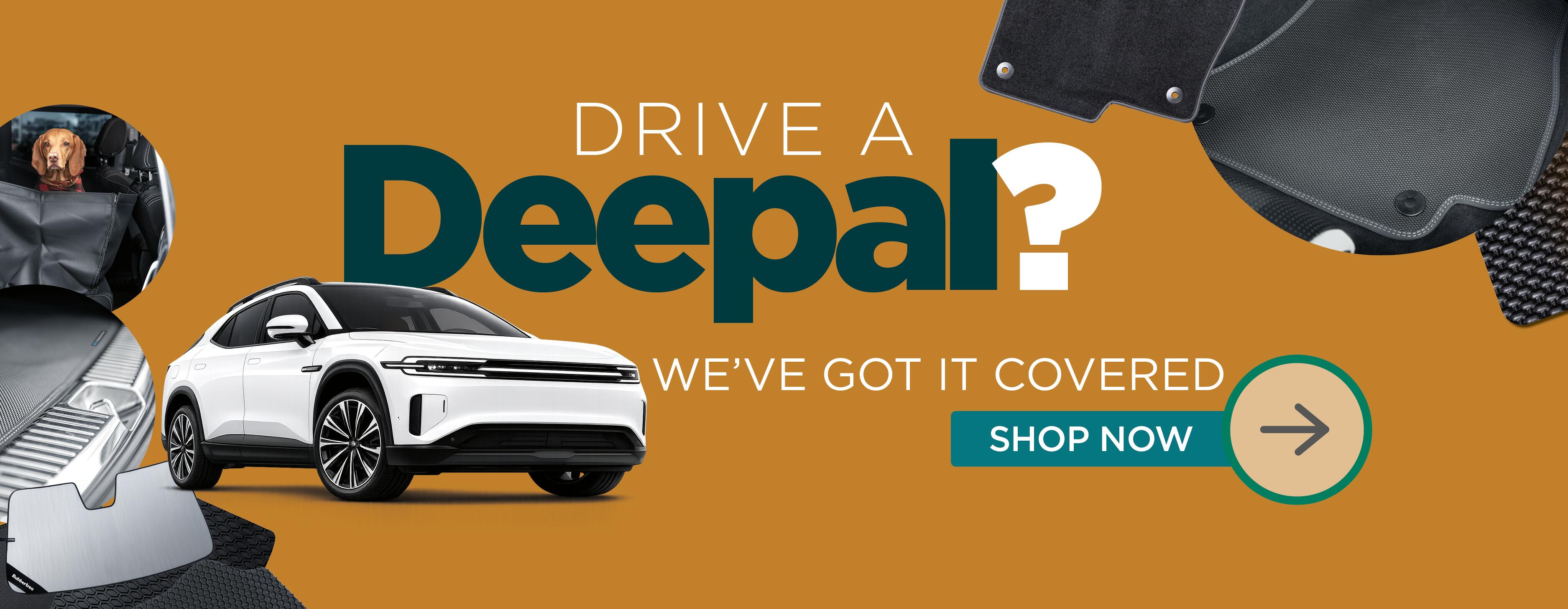 Deepal Home Page Hero