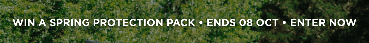 Spring Giveaway Banner