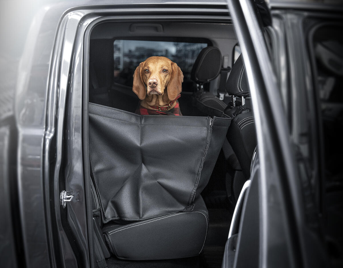 Mustang dog seat cover best sale