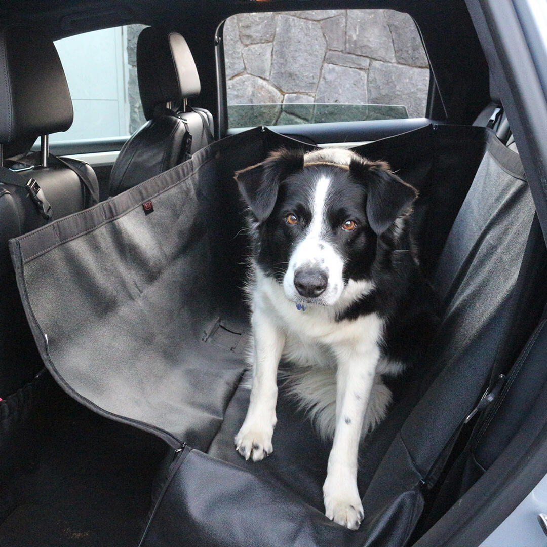 Dog seat cover for mini cooper best sale