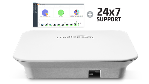 NetCloud Essentials Branch Access Point with 1yr Prime Subs