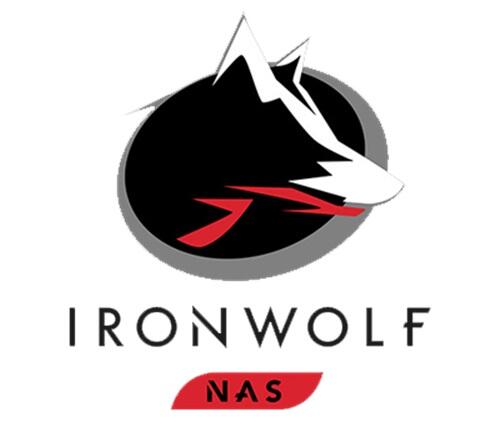IronWolf 2TB Hard Disk Drive for NAS