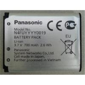 Panasonic N4FUYYYY0019