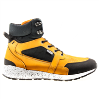 Picture Walter Shoes