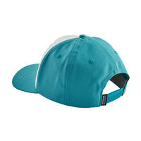 patagonia line logo ridge roger that hat